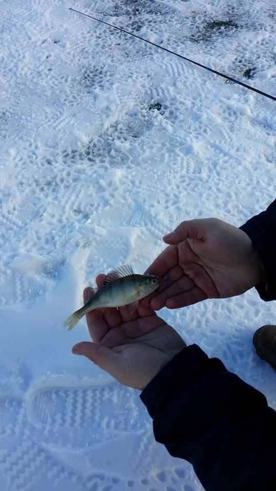 bibaniada :) - 109226528347964732335827112716651226390540n.jpg